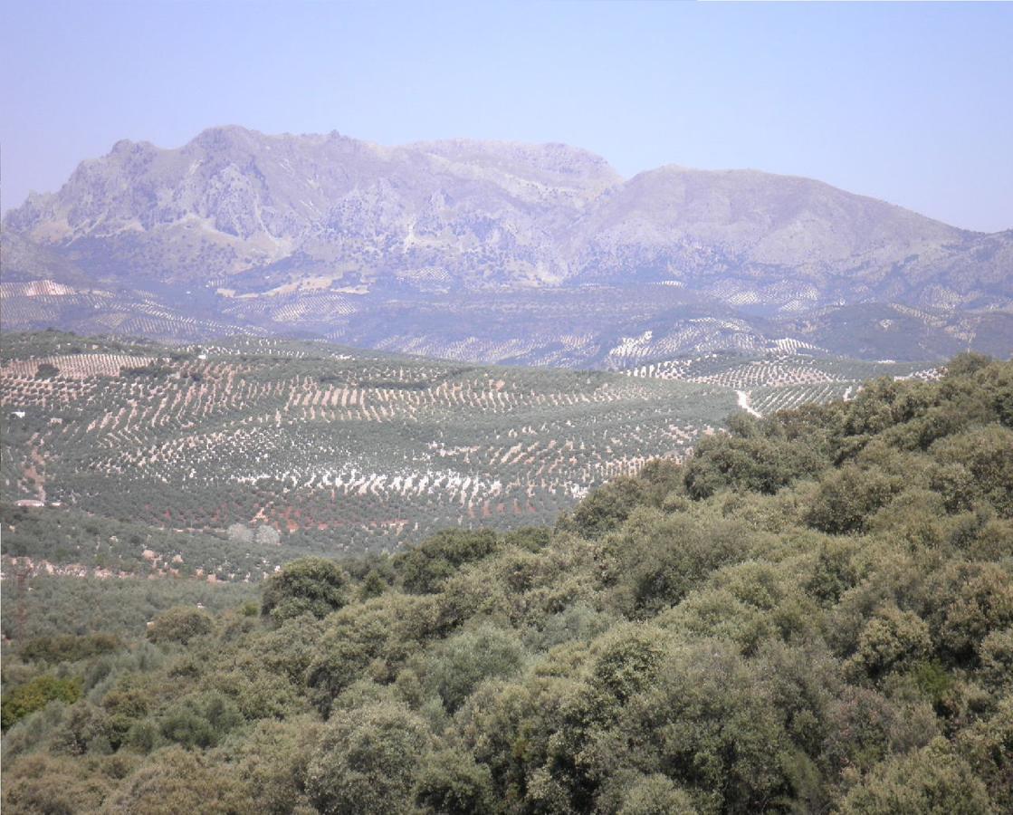 Hotel Sierra De Araceli لوسينا المظهر الخارجي الصورة