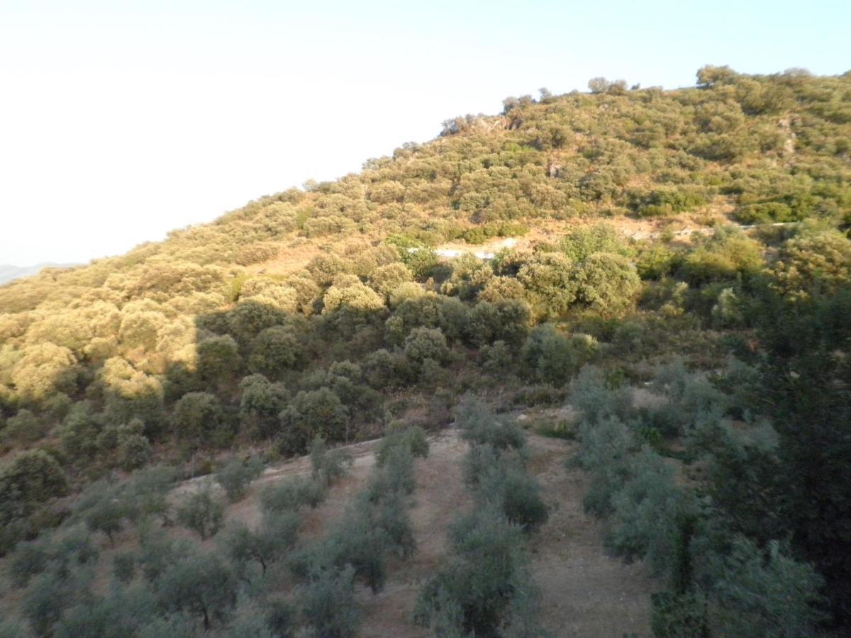 Hotel Sierra De Araceli لوسينا المظهر الخارجي الصورة